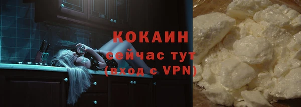 СК Вязьма