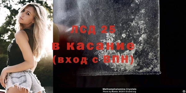 СК Вязьма